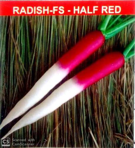 Organic Radish Seeds