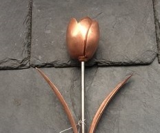 Copper Tulip with Copper Leaves
