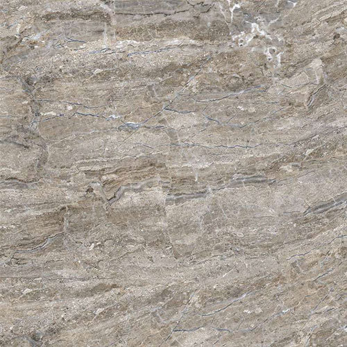 Florence Grey Tiles - Vitrified Tiles 800x800mm | High Gloss Finish Frost & Heat Resistant Captivating Pattern