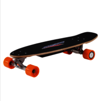 Electric Skateboard PM-250W