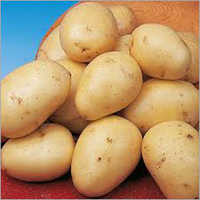 Potato