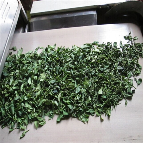 Tunnel Continuous Green Tea Dryer