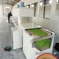Tunnel Continuous Green Tea Dryer
