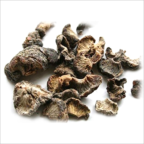 Dry Amla Fruit