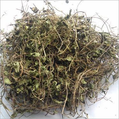 Dry Brahmi Leaves