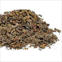 Dry Tulsi Leaf