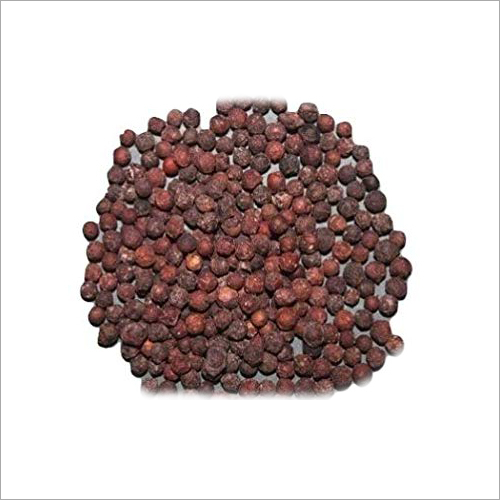 Embelia Ribes