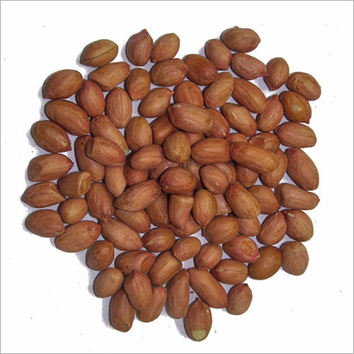 Groundnut Seed