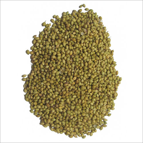 Coriander Seeds