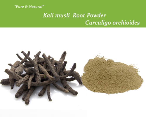 Curculigo Orchioides (Kali Musli) Age Group: All Age Group