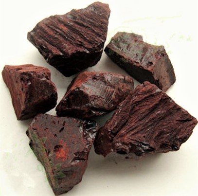 Daemonops Draco (Khunkharaba) Age Group: All Age Group