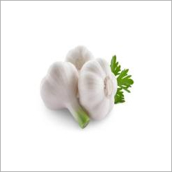 Fresh White Garlic