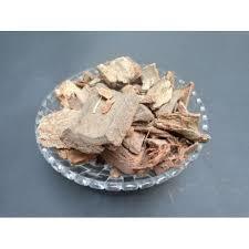 Ficus Racemosa (Gular) Age Group: All Age Group