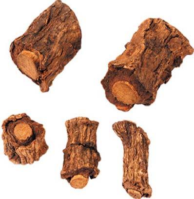 Ichnocarpus Frutescens (Sariva)
