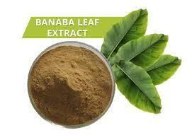 Lagerstroemia Speciosa (Banaba) Age Group: All Age Group