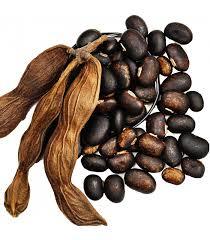 Mucuna Pruriens - Herbal Seed Extract | All Age Group Store in Dry Place Natural Cowage Benefits