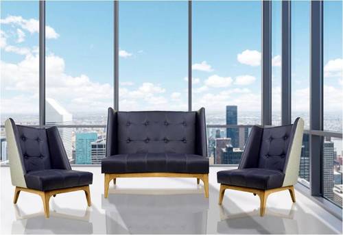 Designer Sofa Series Application: Home