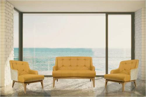 Designer Sofa Series Application: Home