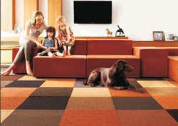 Polypropylene Carpet