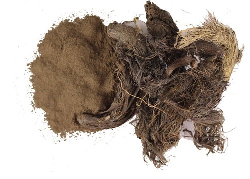 Nordostychys Jatamansi (Jatamansi)
