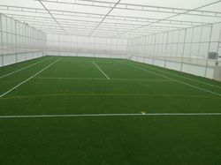 Football Turf Grass