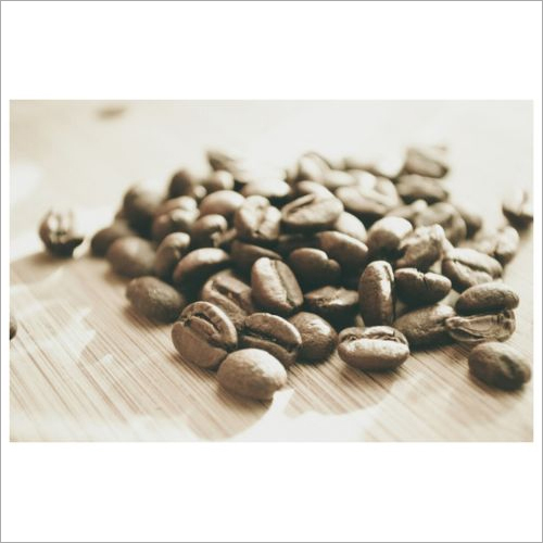 Arabica Plantation A Coffee