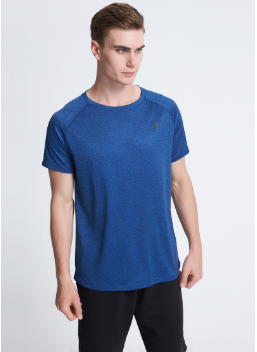 Oem Polyester Dry Fit Running T Shirt , Stripe Sports T-shirt for Men