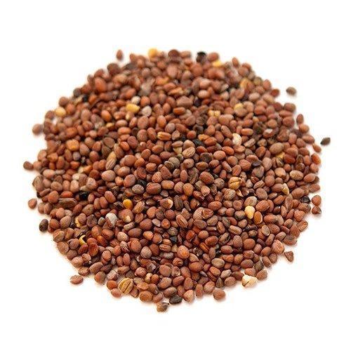 Raphanus Sativus (Mooli) Age Group: All Age Group