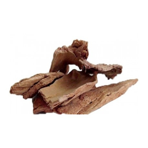 Saraca Indica - Herbal Bark Extract, All Age Group Suitable, Store in Dry Place