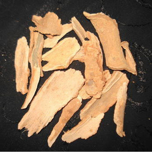 Symplocos Racemosa (Lodhara) Age Group: All Age Group