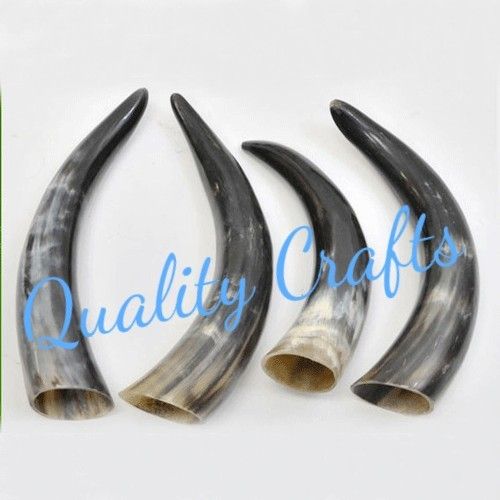 Buffalo Drinking Horn