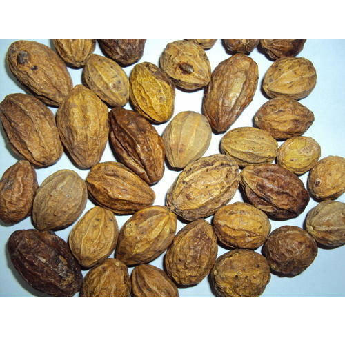 Terminalia Chebula - Bal Harad Fruit Extract | Herbal Extract for All Age Groups, Store in a Dry Place