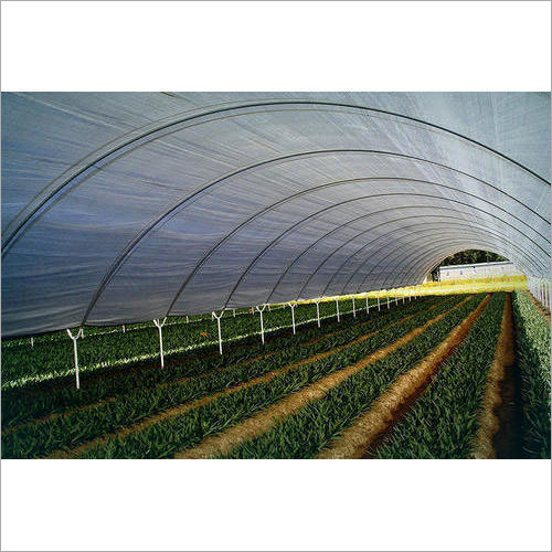 Poly Greenhouses Film