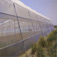Polyhouse Anti Insect Net - Gi Material, 4m Gutter Height, Modular Design | Easily Assembled, Eco-friendly, Enhanced Crop Yield
