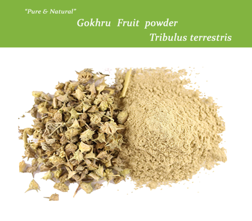 Tribulus Terrestris (Gokhru) Age Group: All Age Group