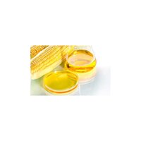Fructose / High Fructose Syrup
