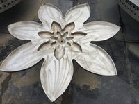 Lotus Water Body