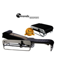 Automatic Thermal Massage Bed