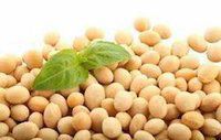 Soybean Isoflavone Extract