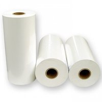 Bopp Film Roll - Eco-friendly Bopp Material, Various Widths & Thicknesses, White Color | High Tear Strength, Moisture Resistant, Long Lasting Use, Fatigue Resistant, Pearlized Finish