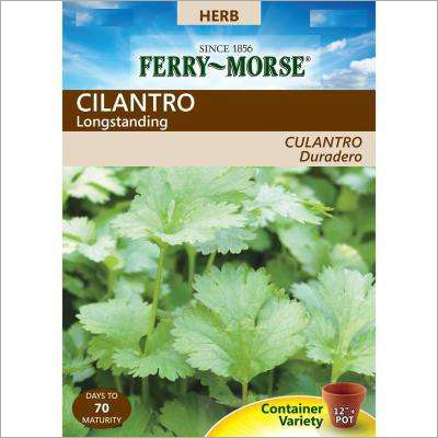 Growing Cilantro Seeds