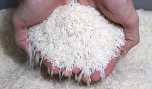 non basmati rice