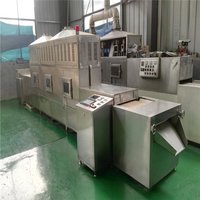 Continuous Microwave Rice Sterilizing Machine