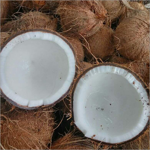 Semi Husked Coconut