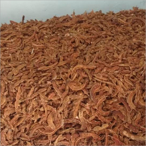 Tamarind Seed