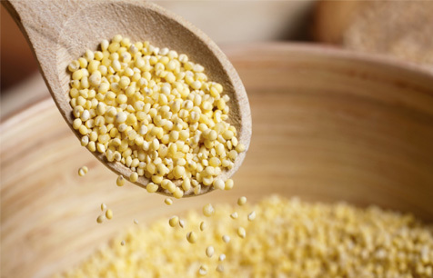 Yellow Millet