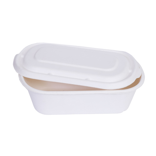 Waterproof Baggase Food Container With Lid