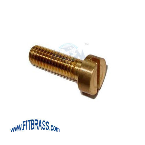 Golden Brass Cheese Head Screws