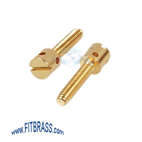 Brass Sealing Screws