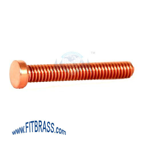 Natural Compressed Top Contact Screw